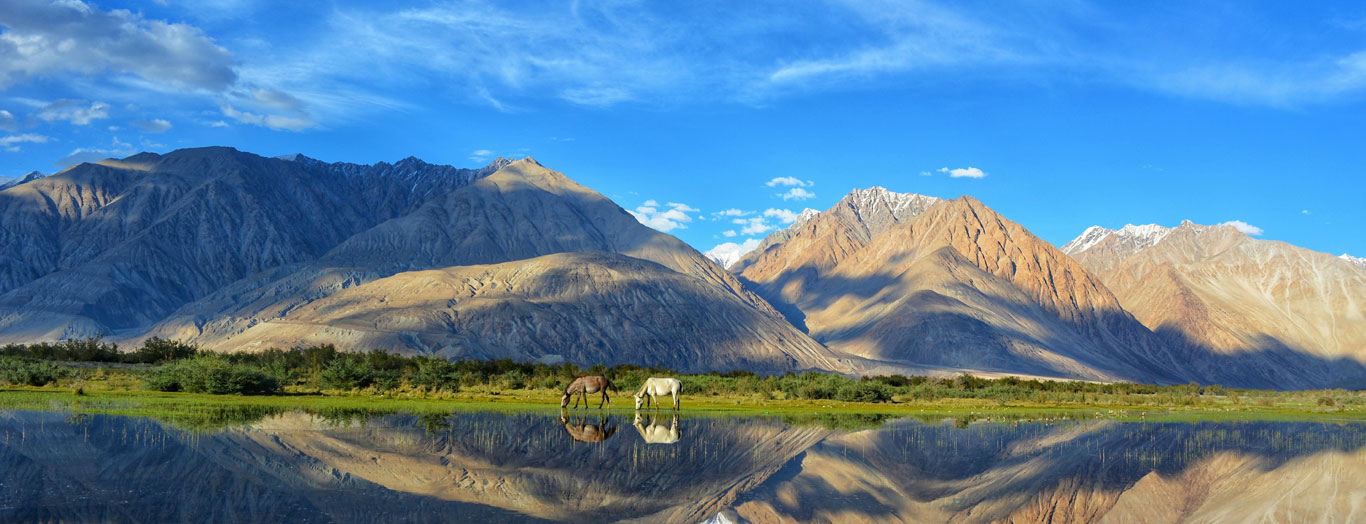 North India Tour Packages